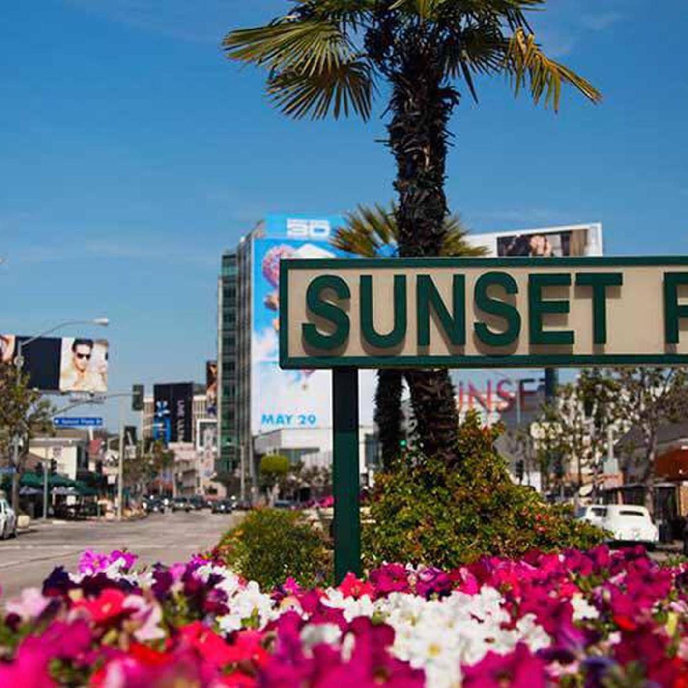 Amazing Large 2 Bedroom West Hollywood Apartment Los Angeles Eksteriør billede